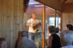 Guided tours - The world of bees and the work of the beekeeper