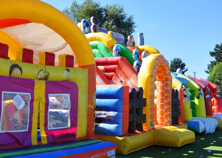 Inflatable games and mini-farm