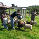 Aufblasbare Spiele und Mini-Farm