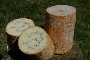 Fourme de Montbrison (AOP)