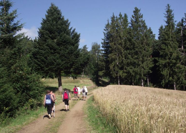 © Marche de la pomme de terre - Patrimoine en éveil