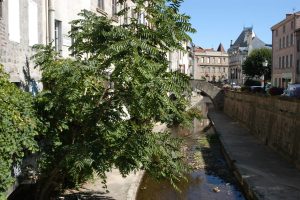 Mairie de Montbrison Moingt