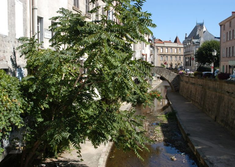 © Vizézy Montbrison - Agglomération Loire Forez