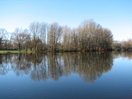 A la découverte des bords de Loire