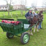 © Der Bauernhof von Grandris - Ferme de Grandris