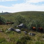 © Le col du Béal - Coralie Goutte