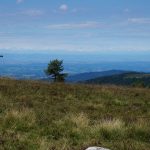 © Le col du Béal - Coralie Goutte