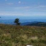 © Le col du Béal - Coralie Goutte