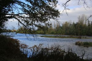 Sentier de Craintilleux - sentier des Bords de Loire