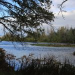 © Sentier de Craintilleux - sentier des Bords de Loire - Anne Massip