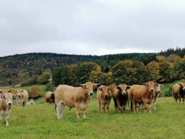 Bauernhof - Ferme des Hautes Terres
