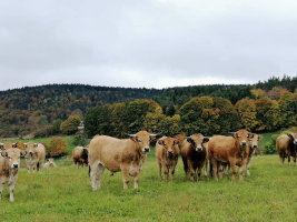 Ferme des Hautes Terres