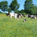 La ferme du grand pré