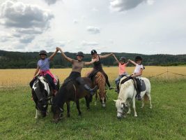 Equestrian Farm 'Les Fougères'