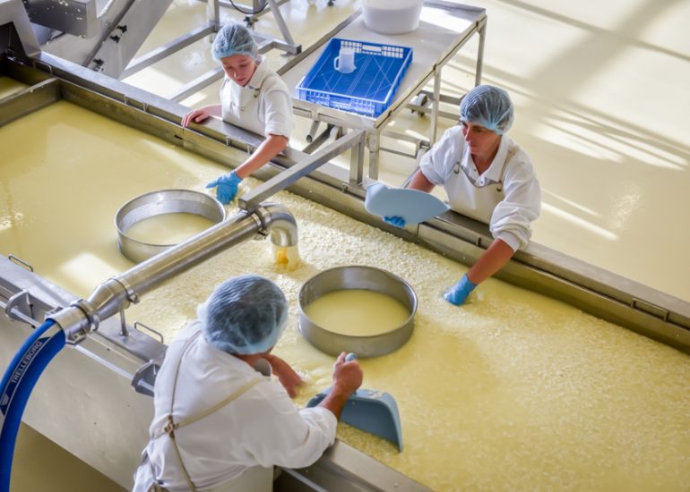 © Entreprise laitière de Sauvain - cheese dairy - Franck Morel (Studio d'Urfé)