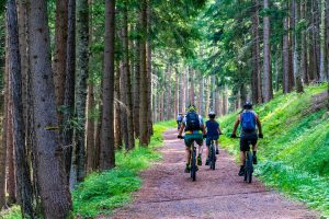 Materialverleih, Mountainbikes und E-Bikes