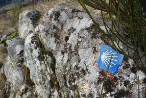 GR® 765 and Chemin de St-Jacques-de-Compostelle Lyon/Le-Puy-en-Velay stage from Craintilleux to Saint-Georges-Haute-Ville