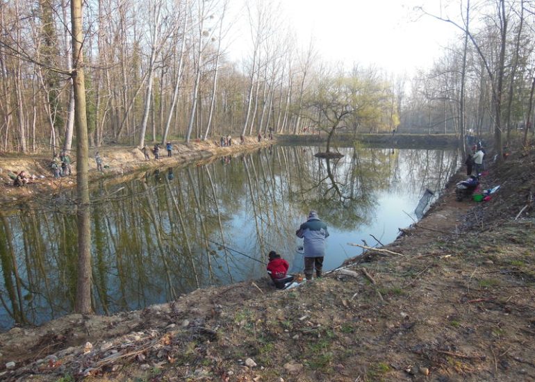 © Etang de la Gerle - Le Gardon Forézien