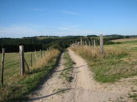 GRP® - Les Gorges de la Loire - Etape 2 : Biesse (Chambles) / Aurec-sur-Loire