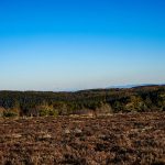 © Vue sur les Alpes - OT Loire Forez