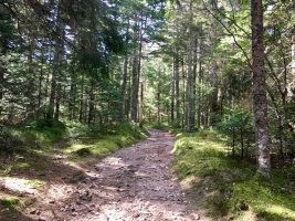 Col de la Loge Trail-running domain