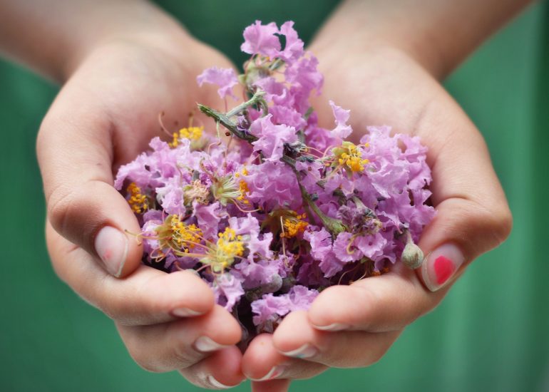 © Découvrir l'aromathérapie - atelier enfant - Pixabay