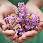 © Découvrir l'aromathérapie - atelier enfant - Pixabay