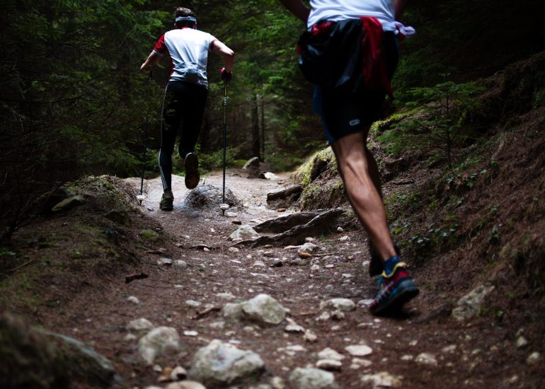 Trailstrecke Chalmazel-Jeansagnière