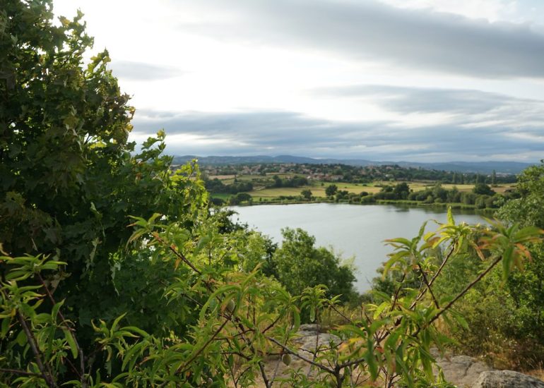 © Etang de Vidrieux - OT Loire Forez