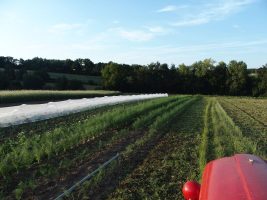 La ferme du petit tracteur