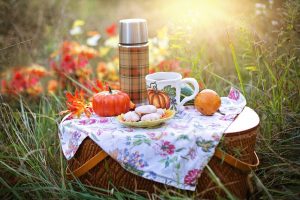 Picnic on the banks of the Loire