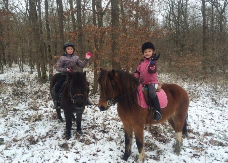 © Poney - Promenade en main - Ecurie Bertrand Bougault