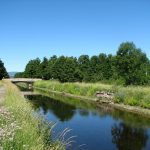 © Rund um den Teich  David - Wege am  Loireufer - Anne Massip