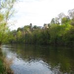 © Veauchette - à la découverte des bords de Loire - Anne Massip