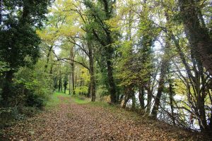 Craintilleux / Boisset-Les-Montrond - à la découverte des bords de Loire