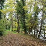 © Craintilleux / Boisset-Les-Montrond - à la découverte des bords de Loire - Anne Massip