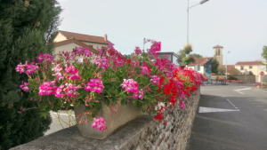 Toilettes publiques - Place de la mairie