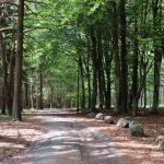 © Sentier La Tour Matagrin - My Little Road