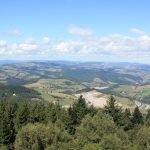 © Sentier Tour Matagrin - OT FOREZ-EST – CP