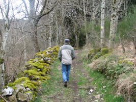 Sentier botanique forestier " le Vallon secret de Subertha"