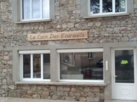 Le coin des écureuils