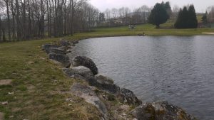 Aire de pique-nique au bord du plan d'eau