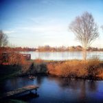 © Forez Pond house and nature reserve of Biterne - Maison des étangs du Forez / Réserve de Biterne