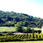 © Winegrower Gilles Bonnefoy - Domaine de la Madone - Viticulteur Gilles Bonnefoy