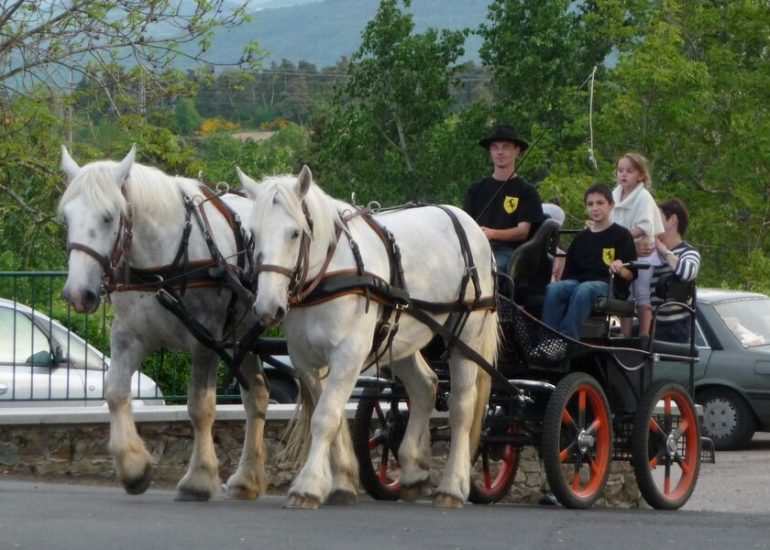 AF Traction Animale - Horse-drawn Wagon Ride