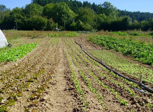 © Jardin de la Vêtre - Jardin de la Vêtre