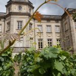 © Château de Boën sur Lignon écrin  du musée des Vignerons du Forez - Michèle Vallas/Château de Boën sur Lignon-Musée des Vignerons du Forez