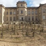 © Lumière printanière - Michèle Vallas/Château de Boën sur Lignon-Musée des Vignerons du Forez