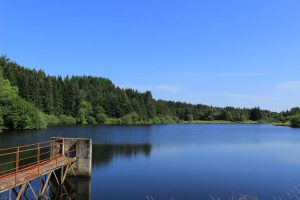 Fishing pond