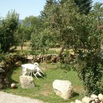 © La Ferme de Beauvoir - Gîtes de France